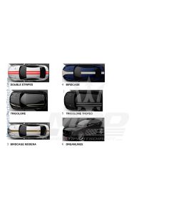 09.18 - 1 - LIVERIES